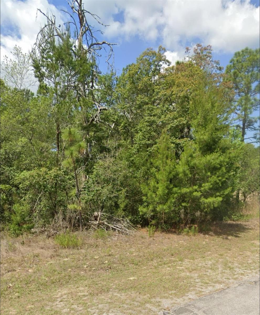 3808 W Indian Rock Place, FL 34433 photo 3