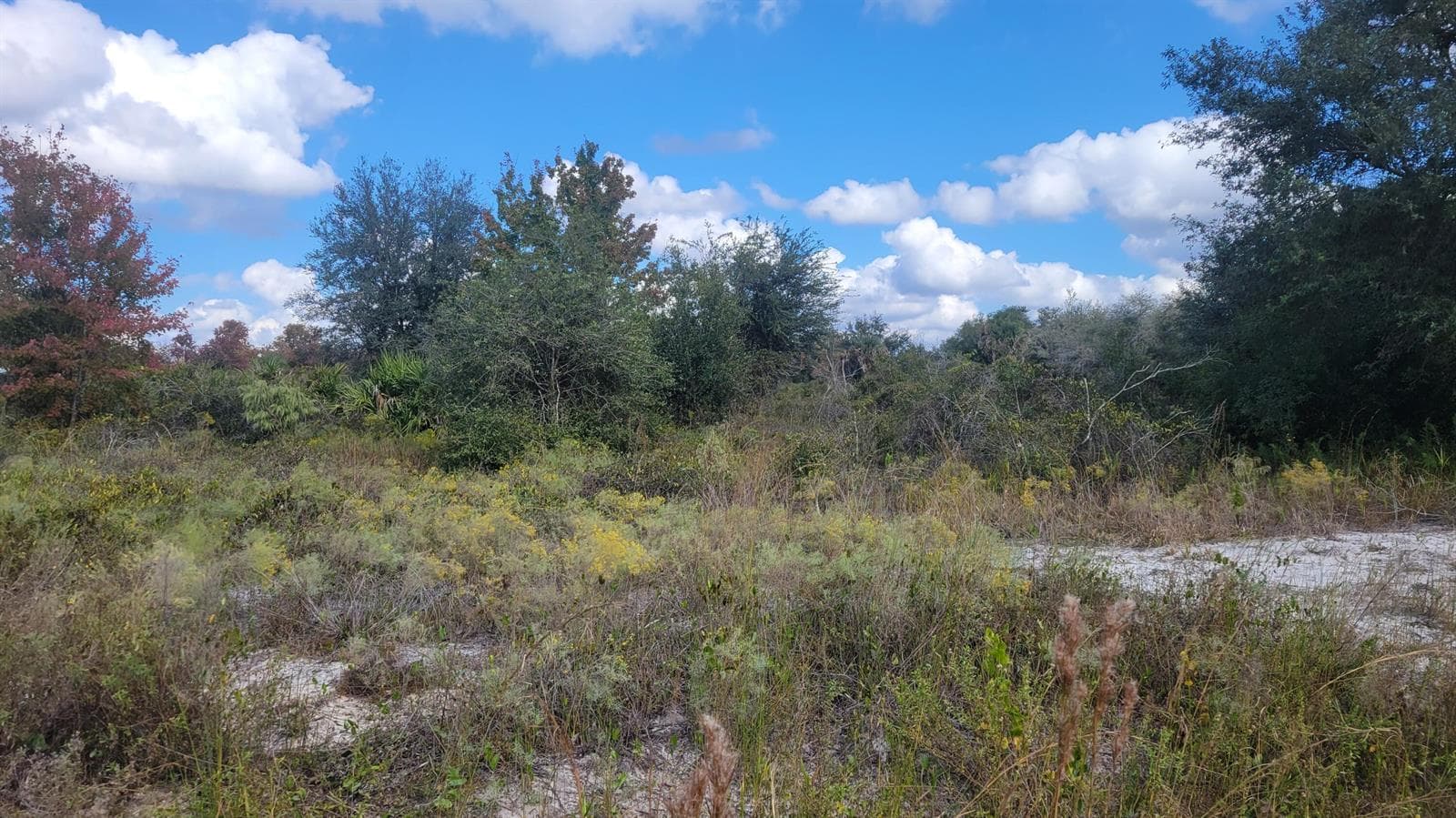 21321 NW 272nd Street, Okeechobee, FL 34972 photo 2