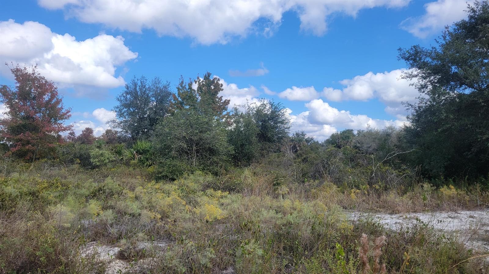 21321 NW 272nd Street, Okeechobee, FL 34972 photo 3
