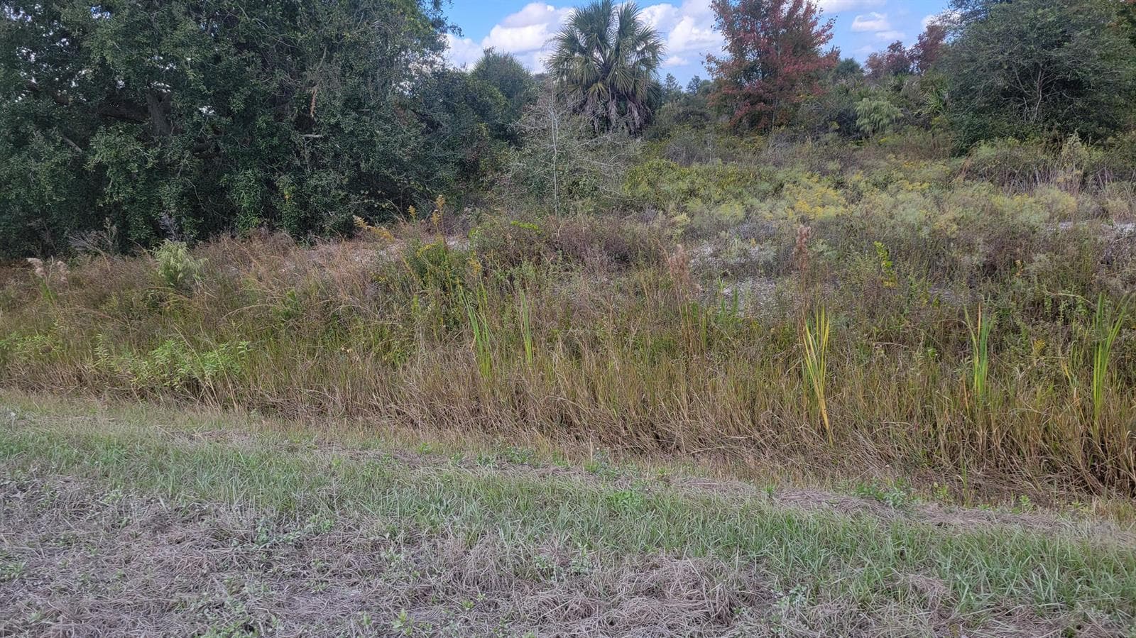 21321 NW 272nd Street, Okeechobee, FL 34972 photo 4