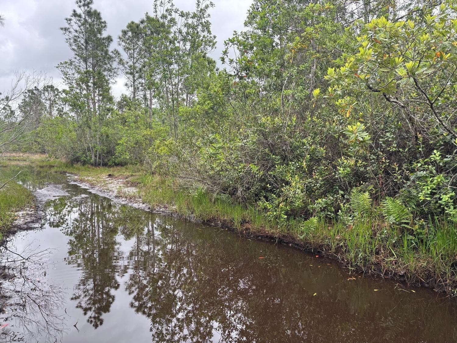 0 Holopaw Groves Road, FL 34772 photo 2