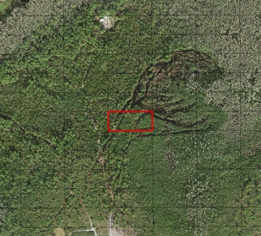 0 Holopaw Groves Road, FL 34772 photo 3