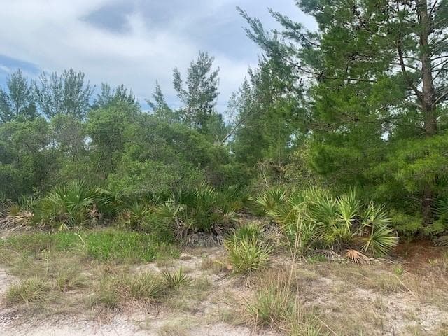 0 Holopaw Groves Road, FL 34772 photo 2