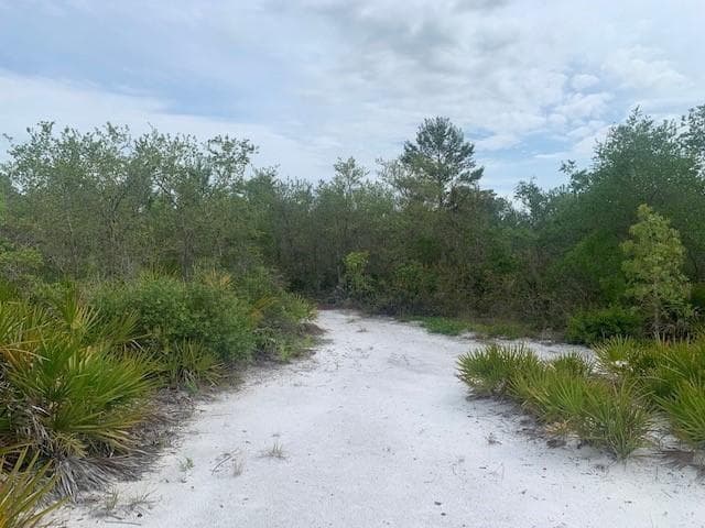 0 Holopaw Groves Road, FL 34772 photo 3