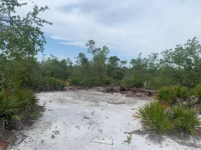 0 Holopaw Groves Road, FL 34772 photo 4