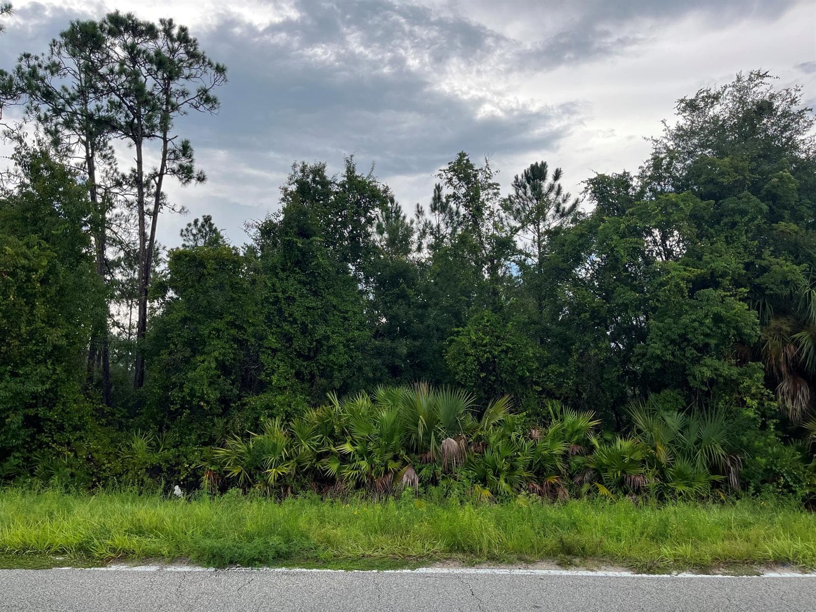 6883 St Johns Avenue, Palatka, FL 32177 photo 3