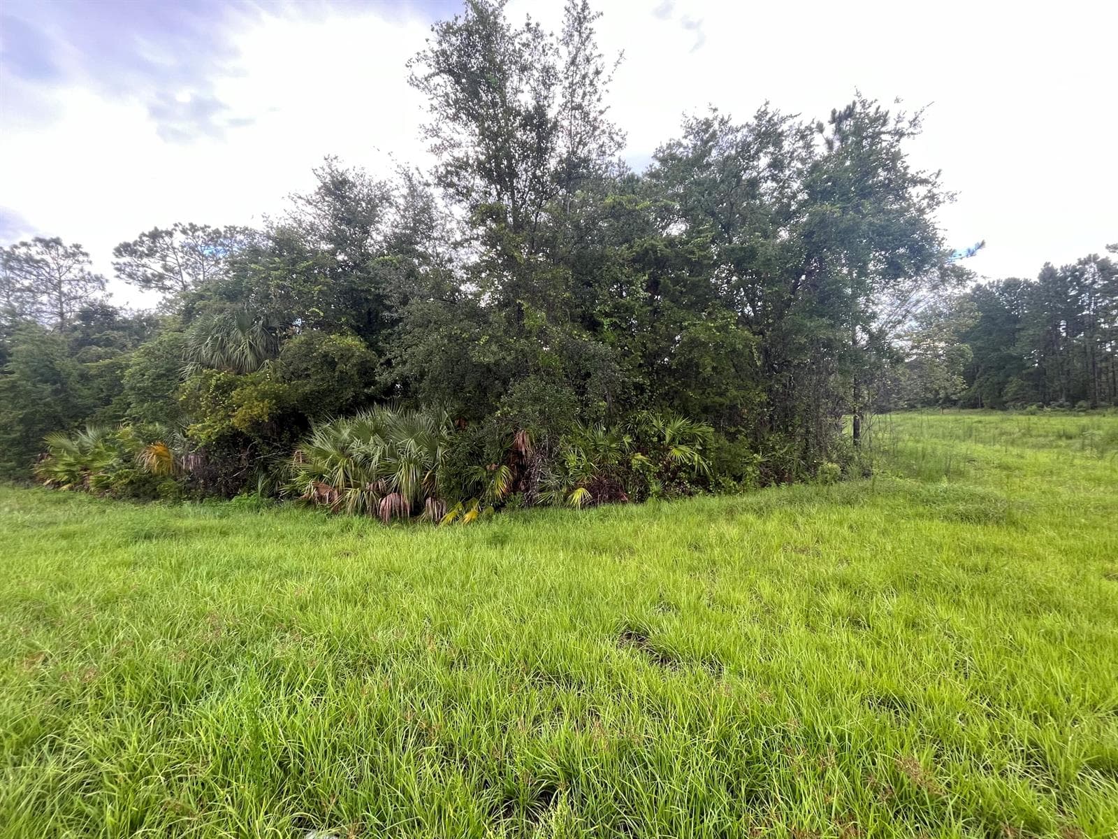 6883 St Johns Avenue, Palatka, FL 32177 photo 4