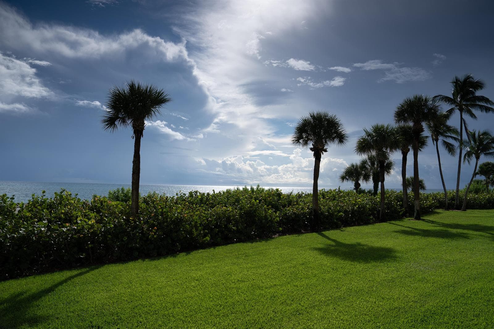 400 Ocean Trail Way # 101, Jupiter, FL 33477 photo 5