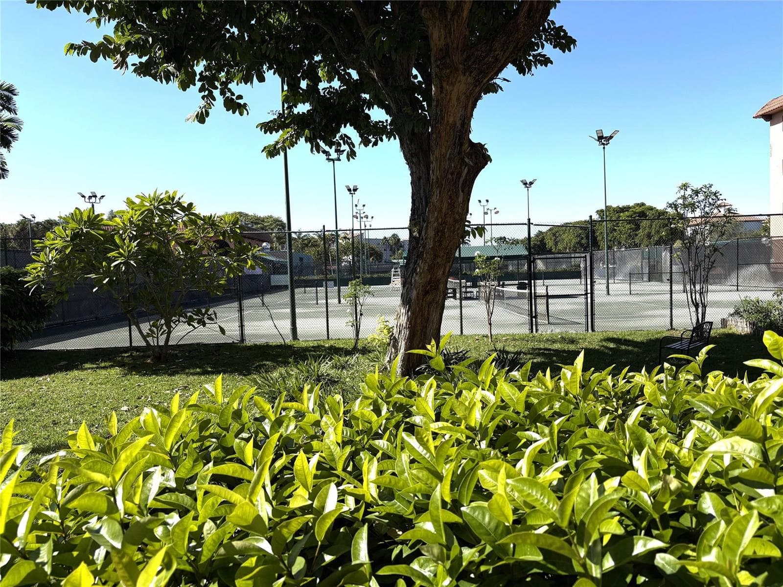 620 Tennis Club Drive # 105, Fort Lauderdale, FL 33311 photo 3