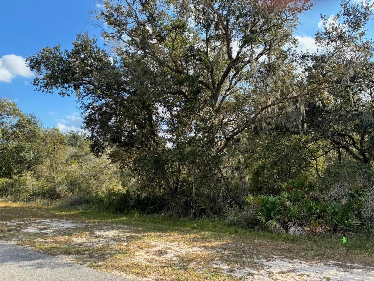 2701 Park Avenue, FL 33855 photo 2