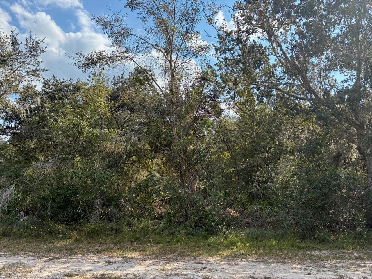 2701 Park Avenue, FL 33855 photo 4