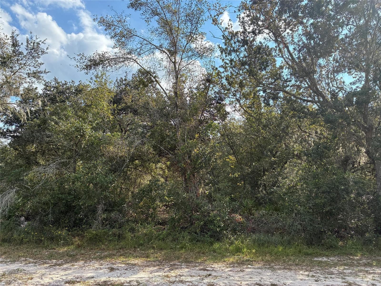 3791 Park Avenue, FL 33855 photo 3