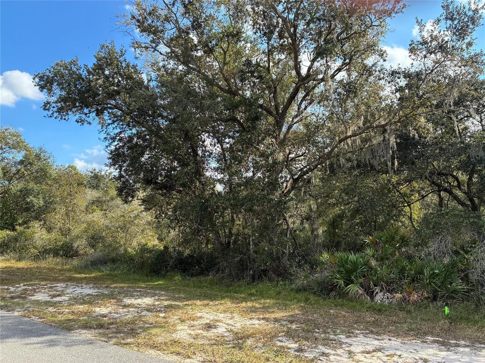 2521 Plumosa Drive, FL 33855 photo 2