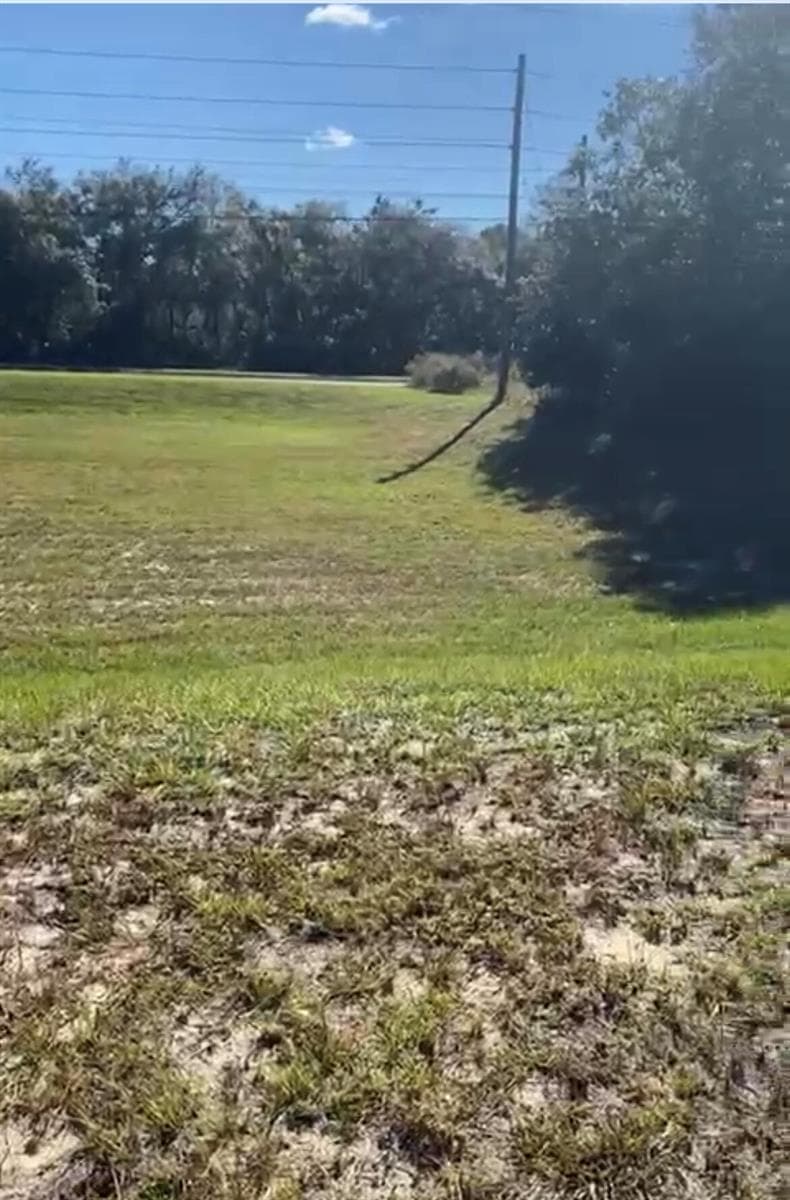 4017 SW 133rd Loop, Ocala, FL 34473 photo 4