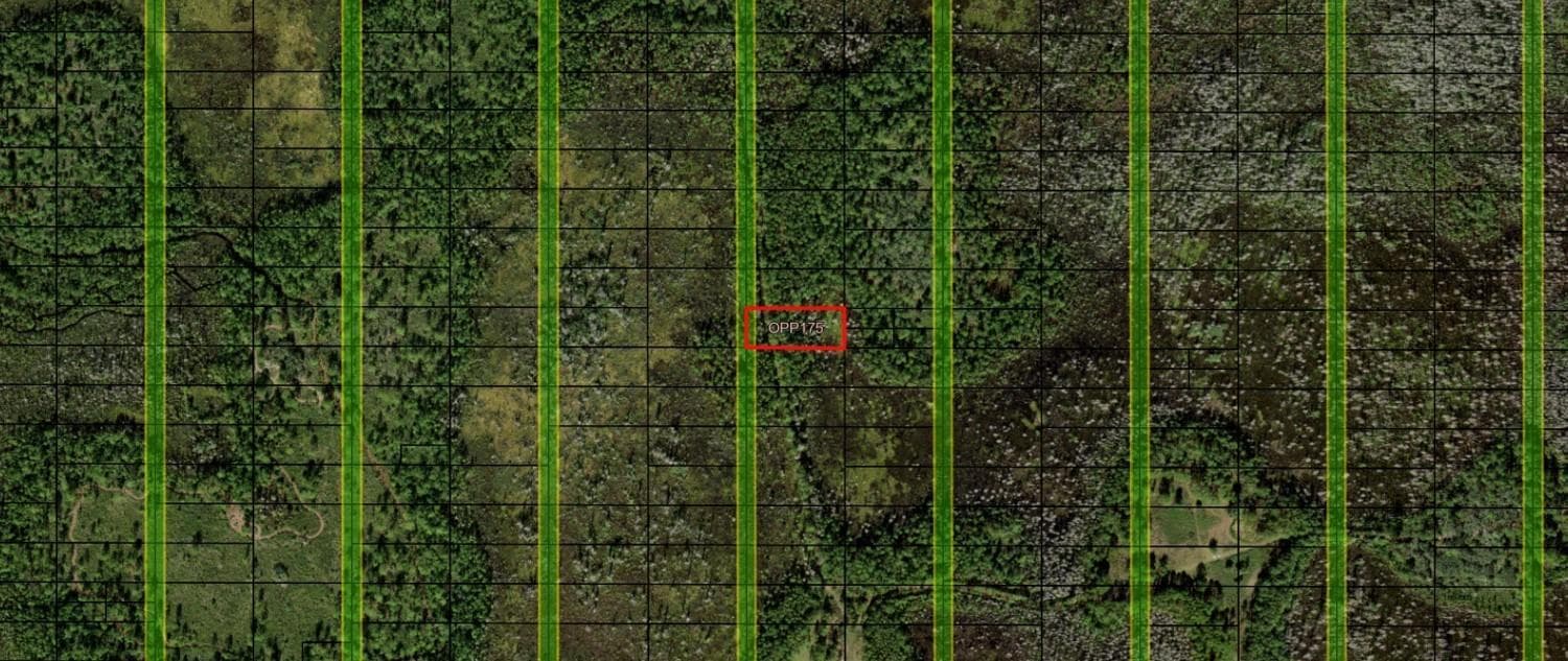 0 Old Grade Road, FL 33868 photo 3