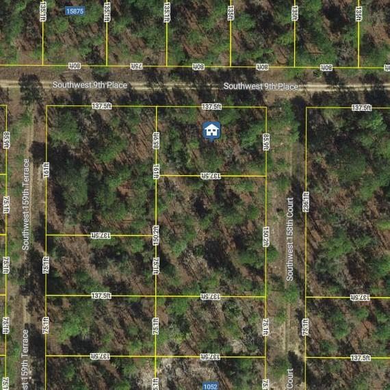 lot1 SW Lot1 158th Court, Ocala, FL 34481 photo 3