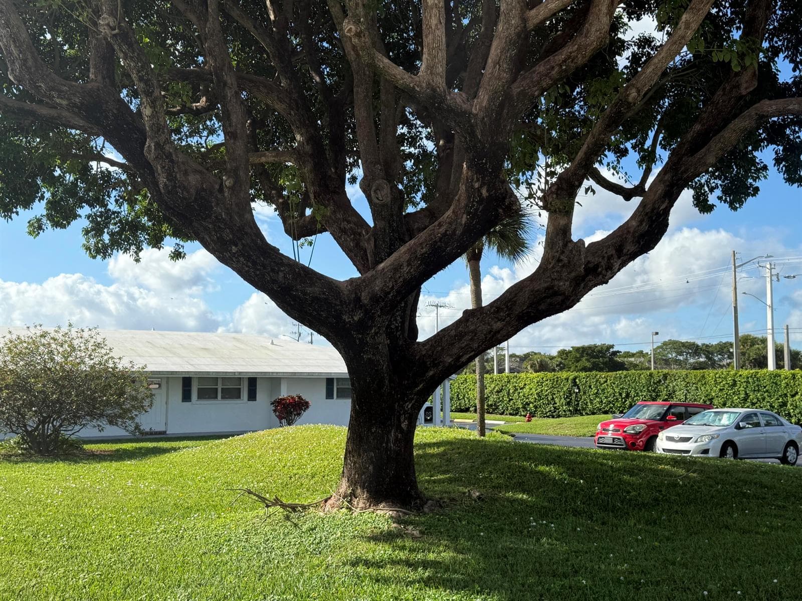 300 SW Golfview Terrace # 152, Boynton Beach, FL 33426 photo 2