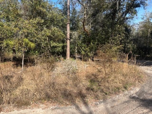 0 County Rd 54, FL 33849 photo 2