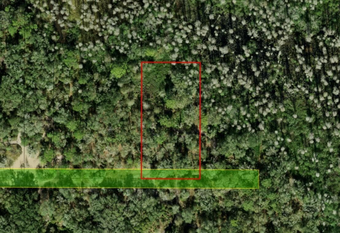 0 County Rd 54, FL 33849 photo 4
