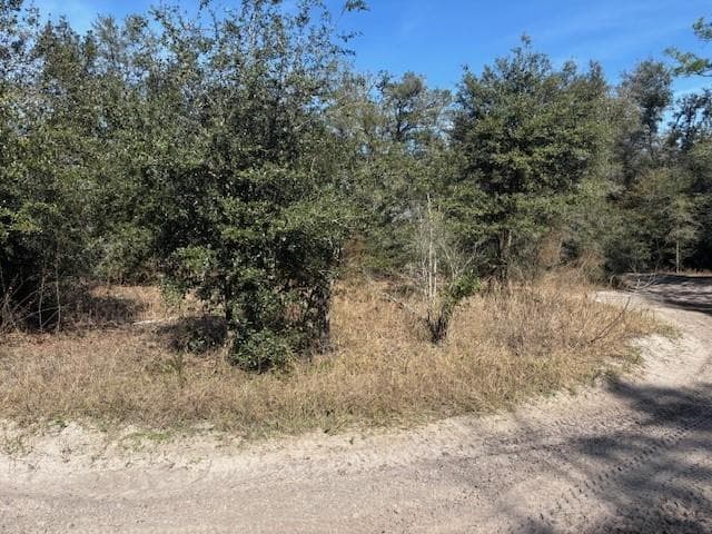 0 County Rd 54, FL 33849 photo 2