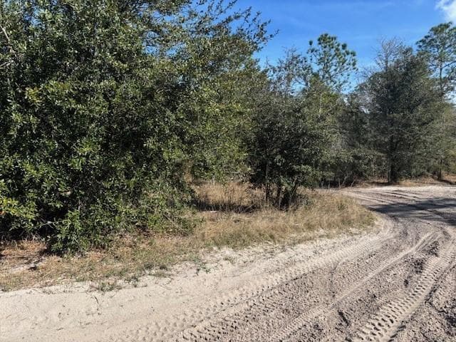 0 County Rd 54, FL 33849 photo 3