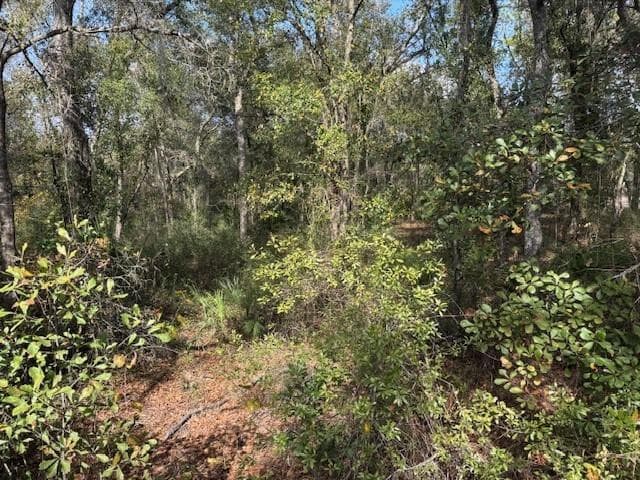 0 County Rd 54, FL 33849 photo 2