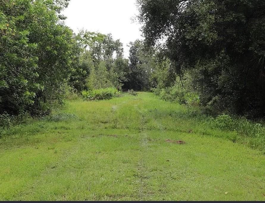 21331 NW 250th Street, Okeechobee, FL 34972 photo 2