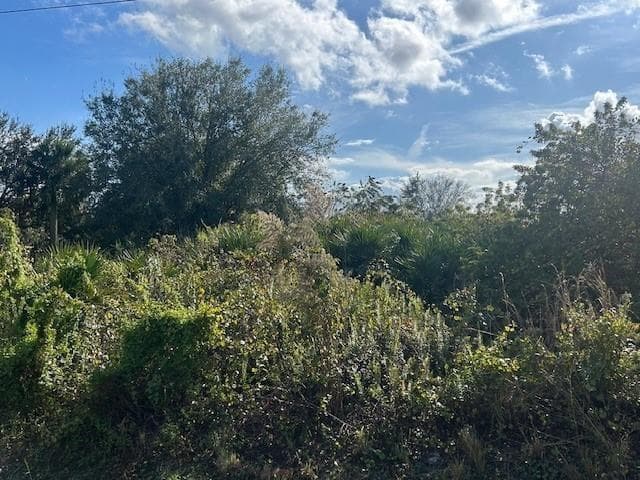 14938 NW 254th Street, Okeechobee, FL 34972 photo 2