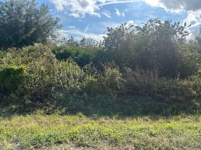 14938 NW 254th Street, Okeechobee, FL 34972 photo 4