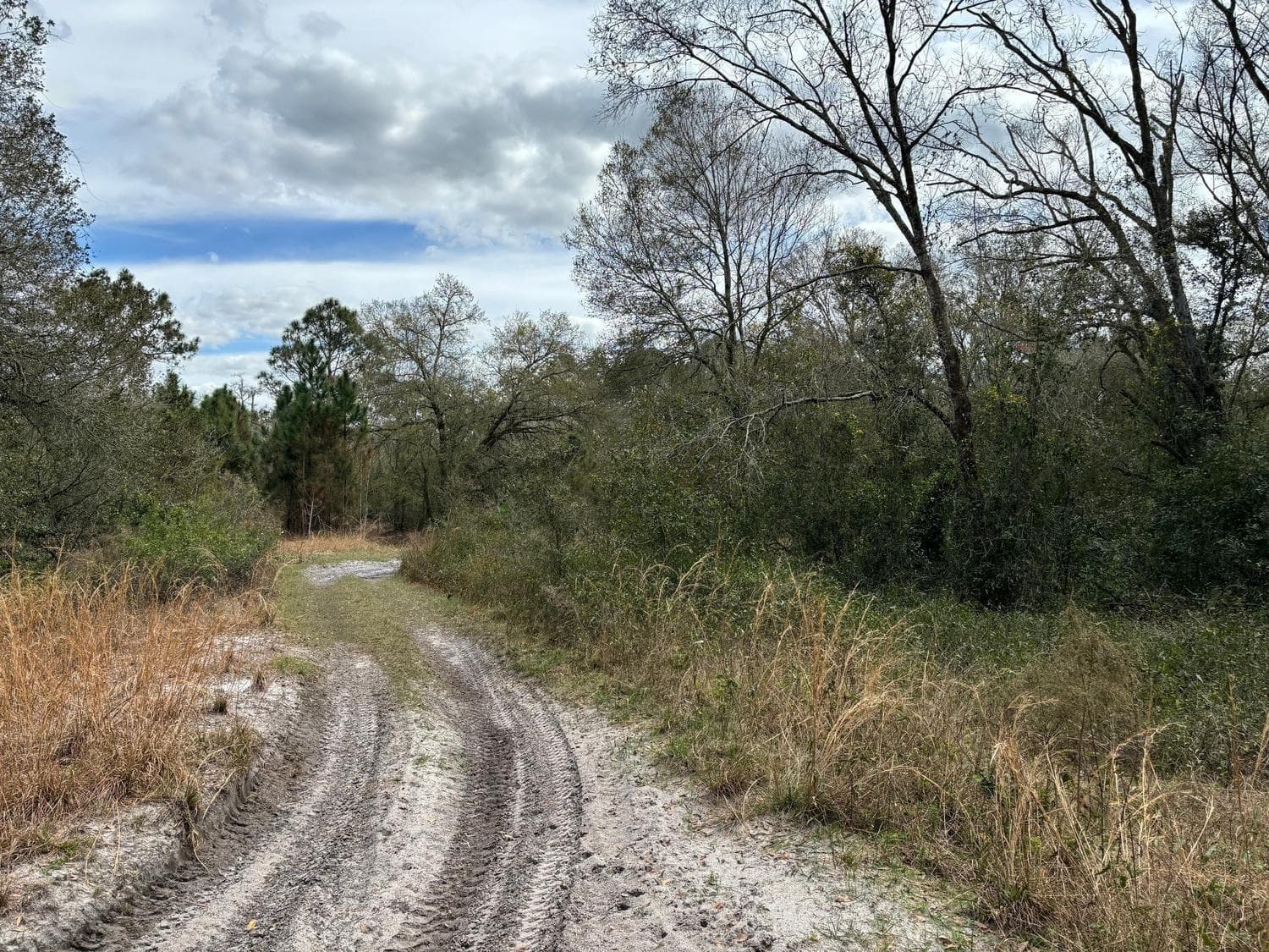0 County Rd 54, FL 33849 photo 2