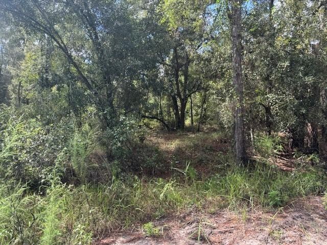 0 County Rd 54, FL 33849 photo 2