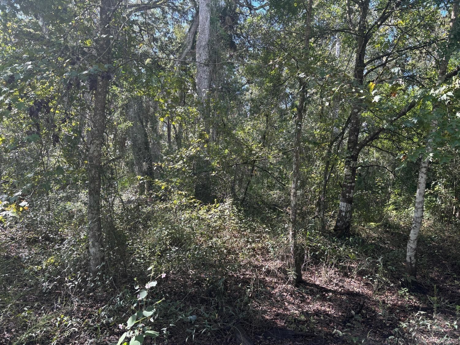 0 County Rd 54, FL 33849 photo 2