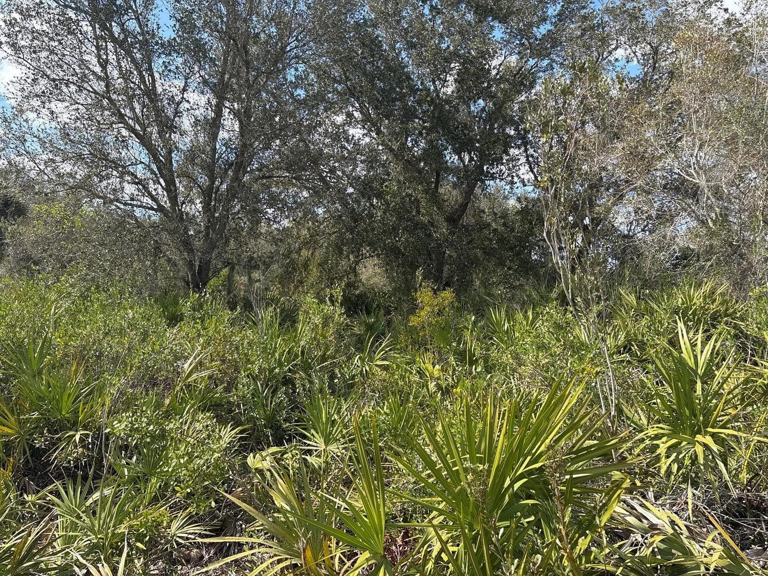 0 NW 300th Street, Okeechobee, FL 34972 photo 2