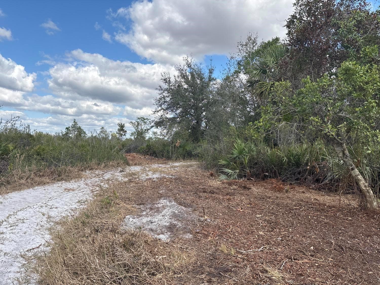 0 NW 302nd Street, Okeechobee, FL 34972 photo 2