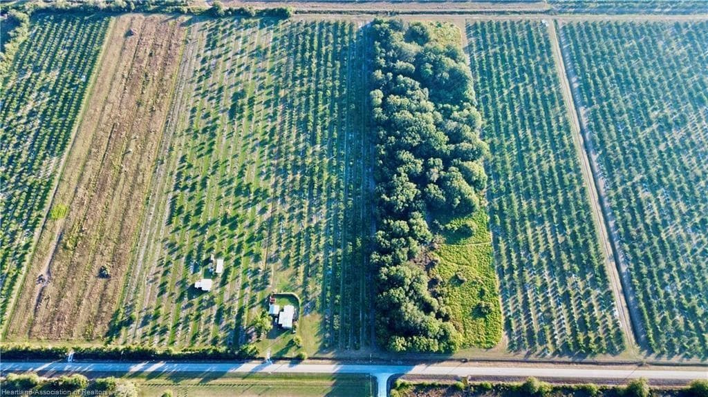 2205 Hicks Road, FL 33857 photo 2