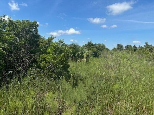 0 NW 310th Street, Okeechobee, FL 34972 photo 2