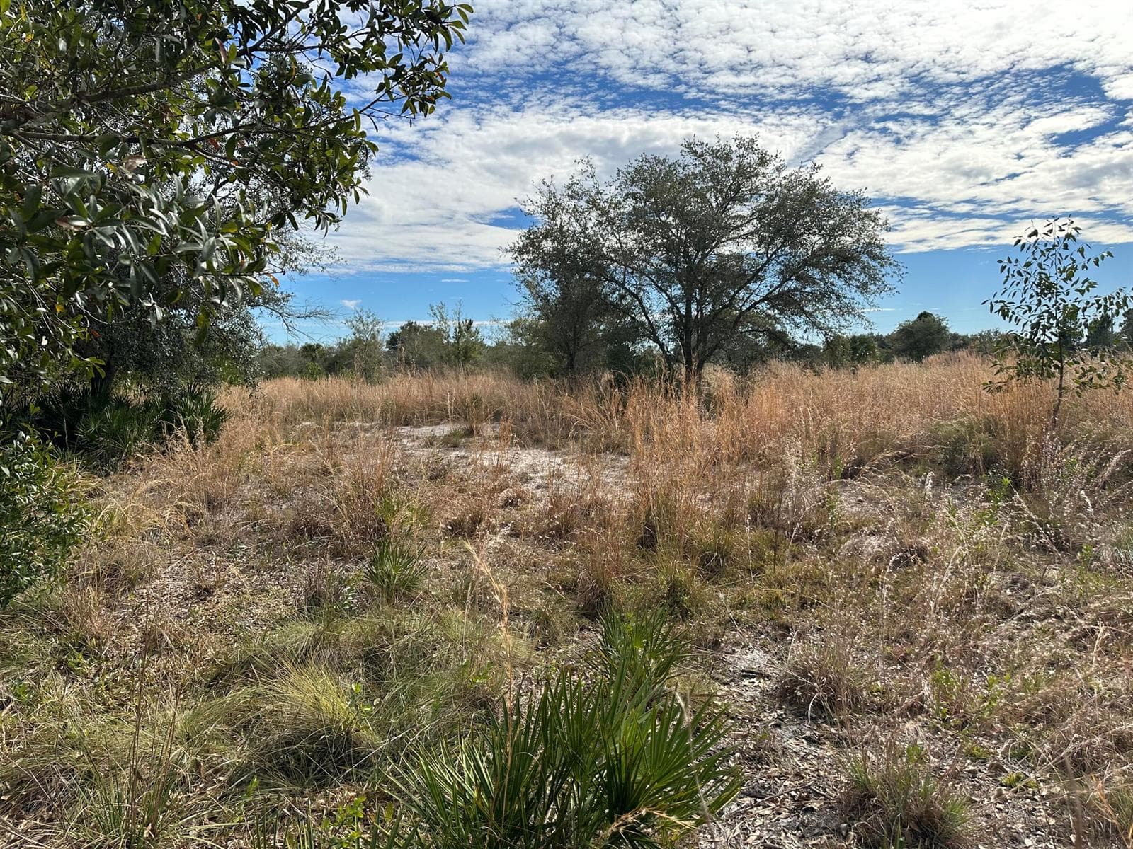 15322 NW 252nd Street, Okeechobee, FL 34972 photo 2