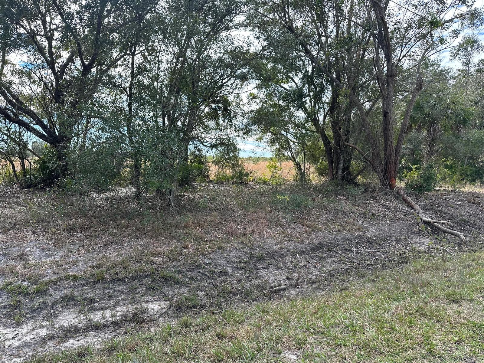 15322 NW 252nd Street, Okeechobee, FL 34972 photo 3