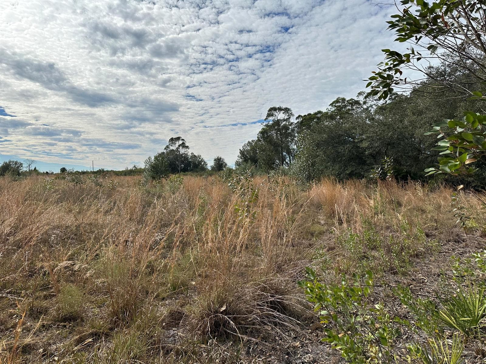 15322 NW 252nd Street, Okeechobee, FL 34972 photo 4