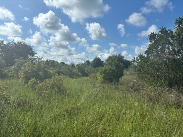 0 NW 316th Street, Okeechobee, FL 34972 photo 2