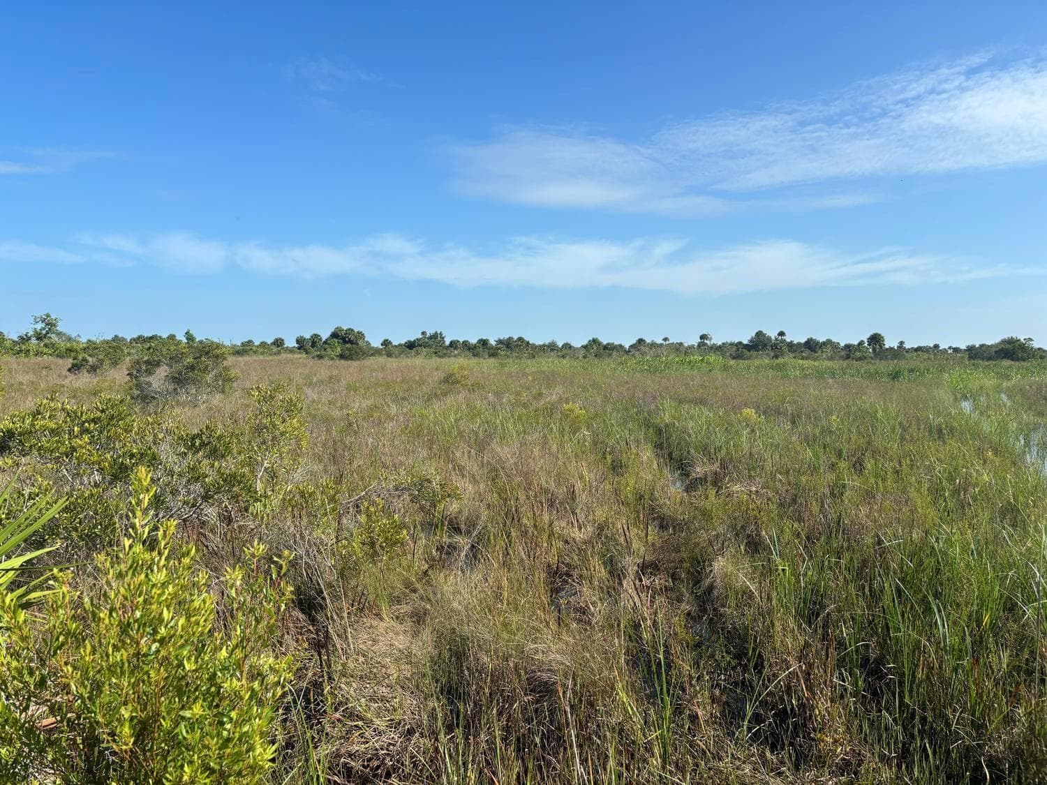 0 NW 318th Street, Okeechobee, FL 34972 photo 2