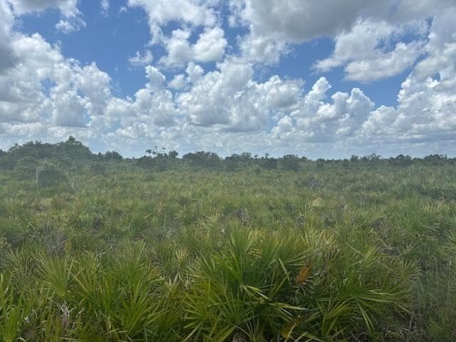 0 313th Street, Okeechobee, FL 34972 photo 2