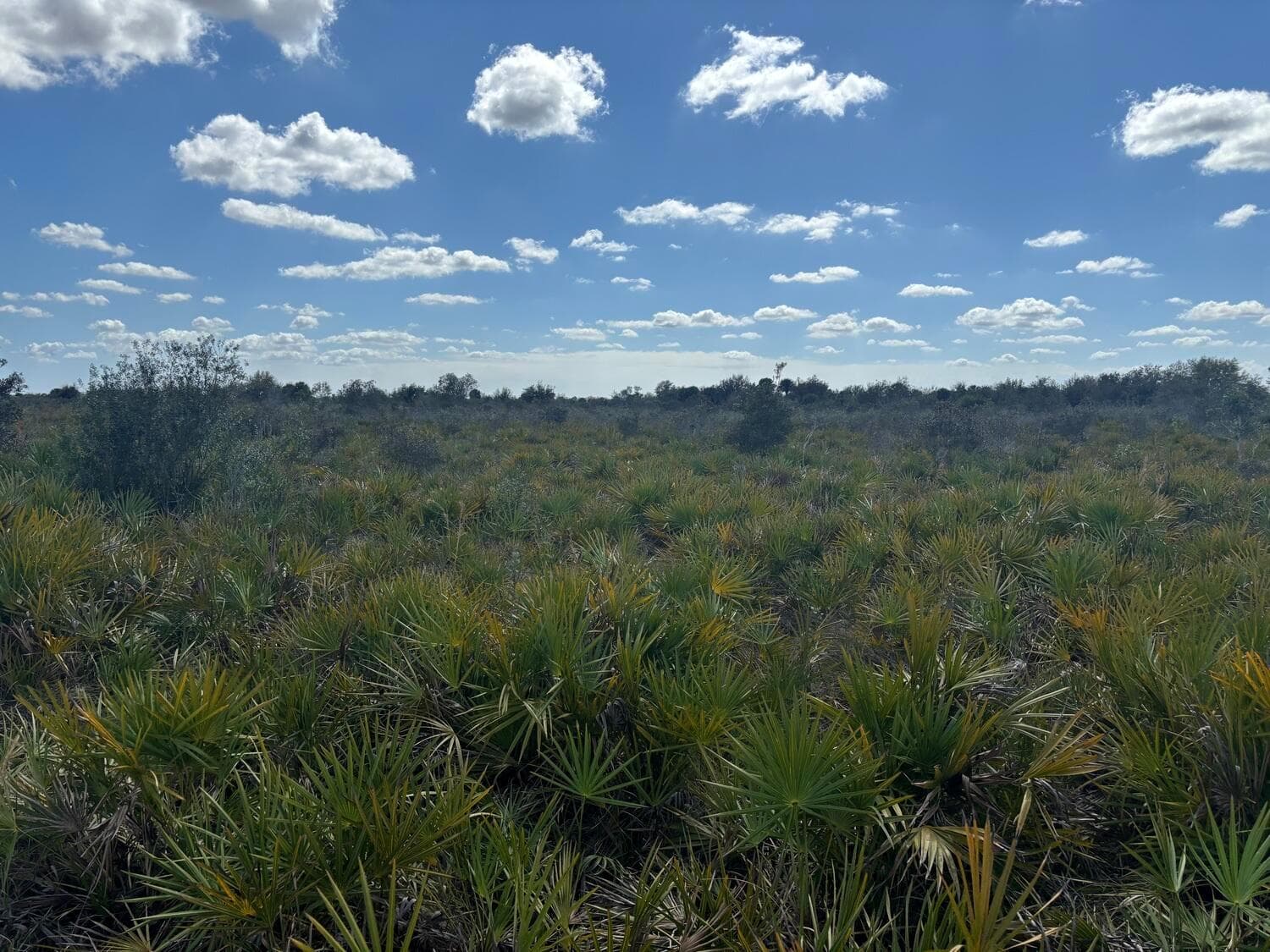 0 313th Street, Okeechobee, FL 34972 photo 5