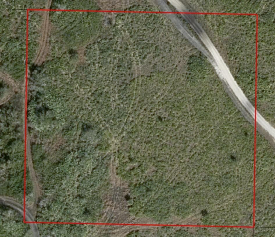 0 313th Street, Okeechobee, FL 34972 photo 4
