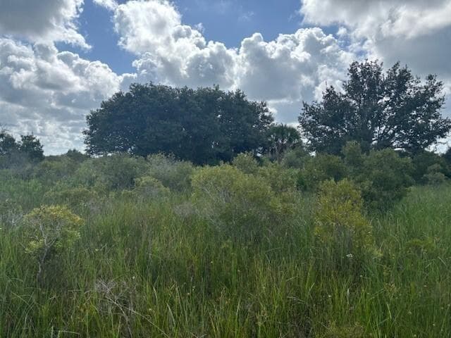 0 NW 316th Street, Okeechobee, FL 34972 photo 2