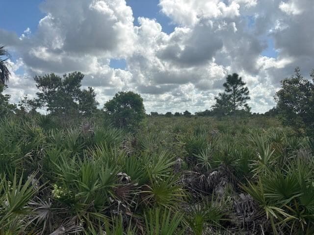 0 NW 316th Street, Okeechobee, FL 34972 photo 2