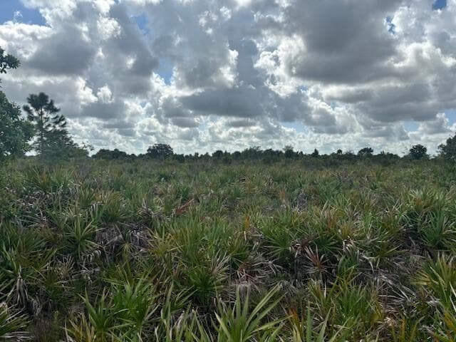 0 NW 314th Street, Okeechobee, FL 34972 photo 3