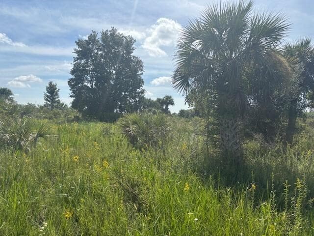 0 NW 310th Street, Okeechobee, FL 34972 photo 2