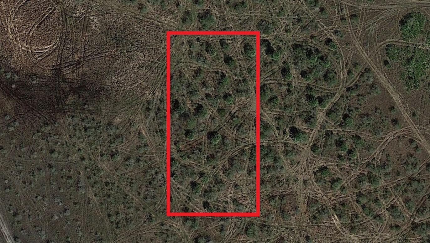 0 NW 310th Street, Okeechobee, FL 34972 photo 2