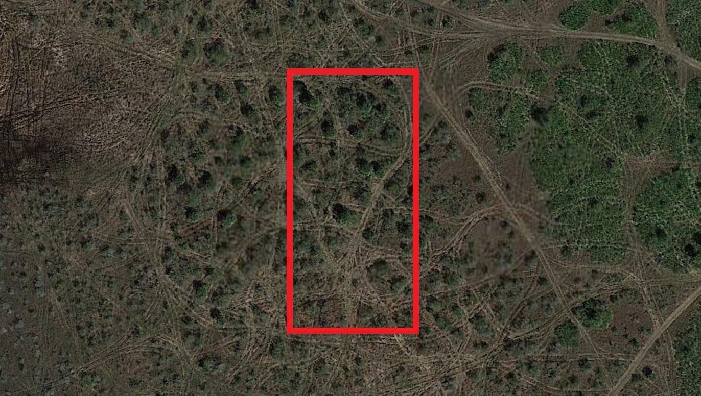 0 NW 310th Street, Okeechobee, FL 34972 photo 2